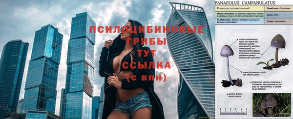 дживик Алексин