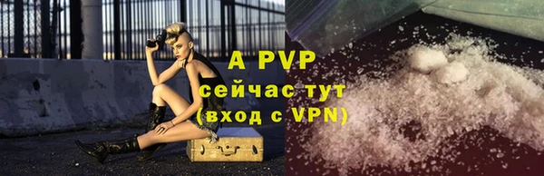 стафф Надым