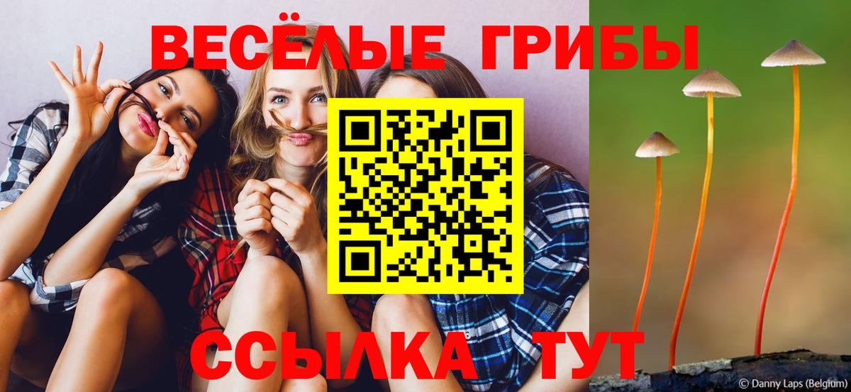 Галлюциногенные грибы мухоморы Энгельс