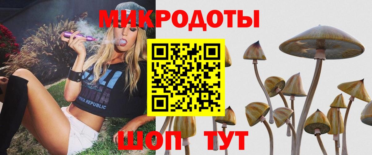 Галлюциногенные грибы мицелий  Галлюциногенные грибы Psilocybe  Вход с VPN  Энгельс 